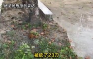 凶手砍死祖孙三代后称吃5年精神病药