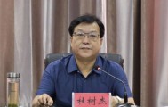 河北官宣：杜树杰被查