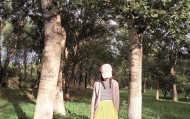 爱犬遭毒杀后，主人为它“讨公道”1000多个日夜