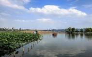 38℃！浙江今起“烤”验加码！月底或有新台风生成