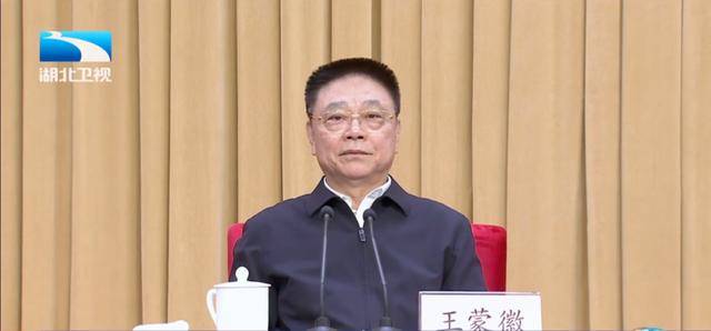 因工作变动，王蒙徽辞去湖北省人大常委会主任职务