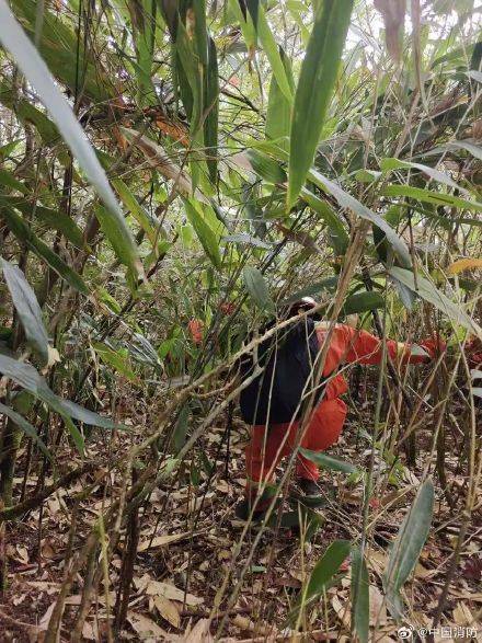 福建8岁男童失踪超60小时 119持续搜救